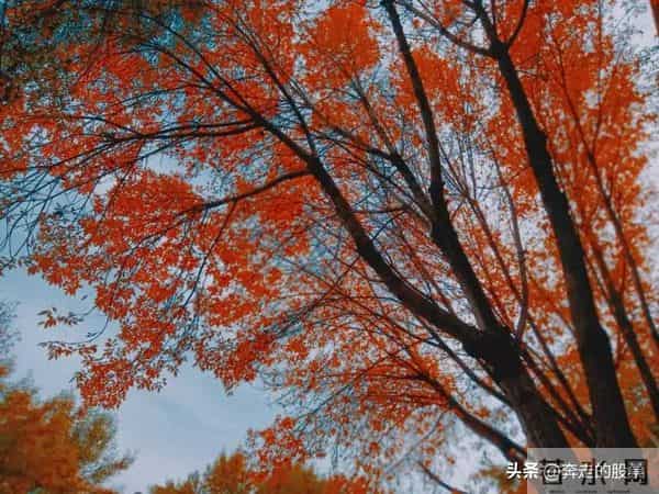 随笔：好吧，不管你经历了什么，一觉醒来，这个城市依旧车水马龙