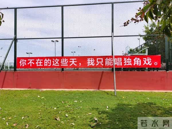 刷屏了！开学季最暖高校横幅来袭，学生：戳中我的小心脏