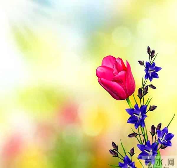 2025春分祝福语简短句子 二十四节气春分问候祝福语文案带图片