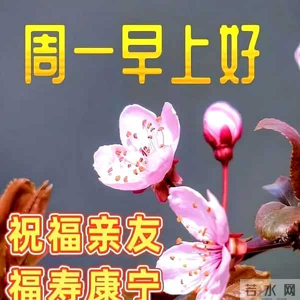 2024最新早上好金句,暖心温馨的早安祝福语精选,愿你幸福吉祥