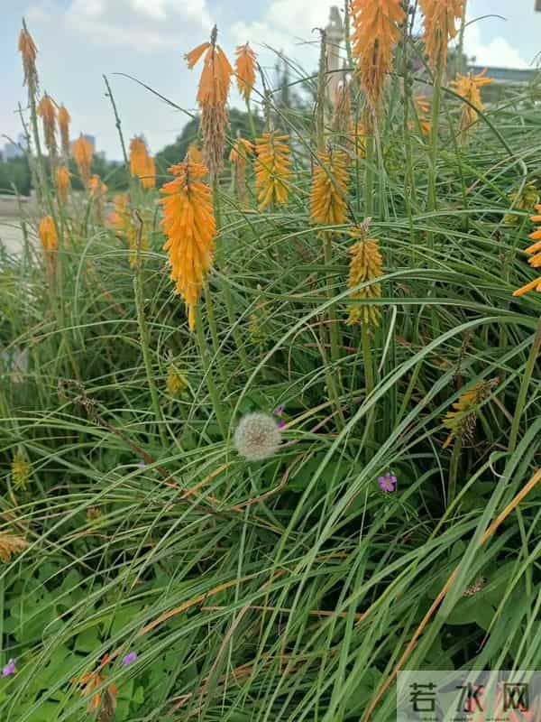 一个现代人的隐士修炼指南