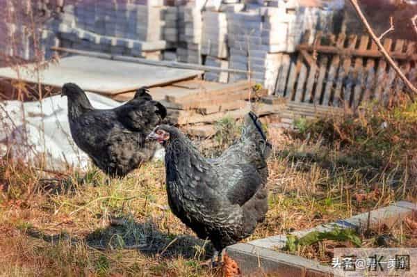 3.8女神节！建议女人：生活别太节俭，8物该吃就吃，千万别心疼钱