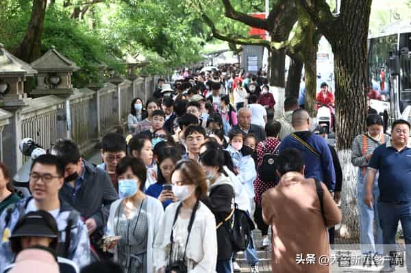 五一过半，趣事一箩筐，不仅人堵了骆驼也堵了……