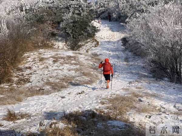 一年从山上背下300多麻袋垃圾!80后程序员和小伙伴们的另类年终述职报告