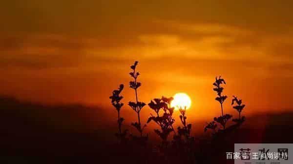 王和尚荐诗（词）评诗（词）