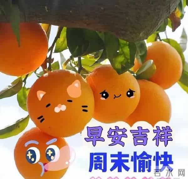 早上好温馨问候语大全,精选早安祝福短语,愿心情始终美好