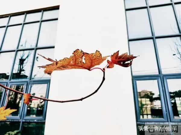 随笔：好吧，不管你经历了什么，一觉醒来，这个城市依旧车水马龙