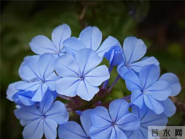 早上好！最经典的为人处世句子，教你看透人心，道尽人生百态