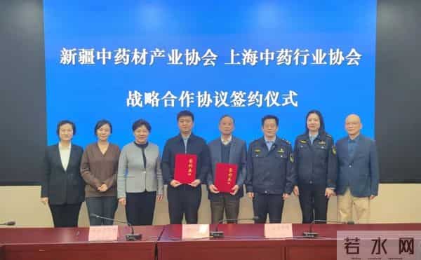 沪疆中药协会合作签约 开启资源互补技术互融市场互通新征程