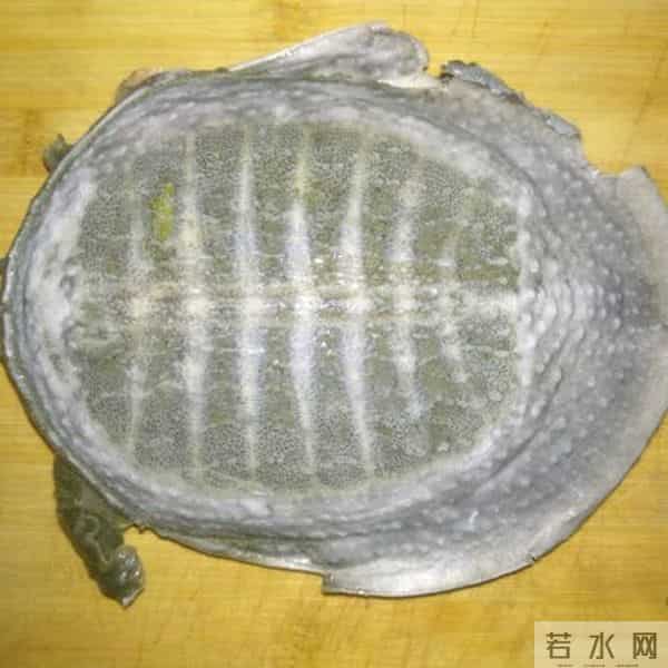 你做的清炖甲鱼汤,和饭店大厨相比,只差这一步