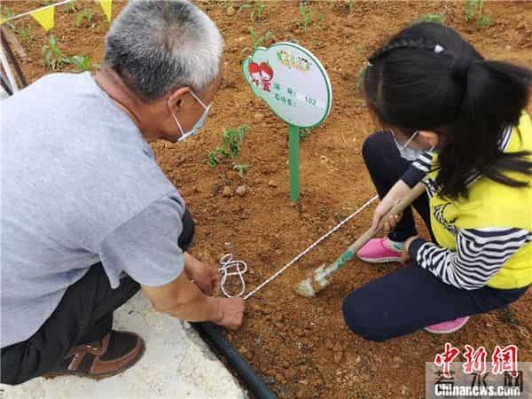 “五一”见闻：田园“农事”刮起旅游新风