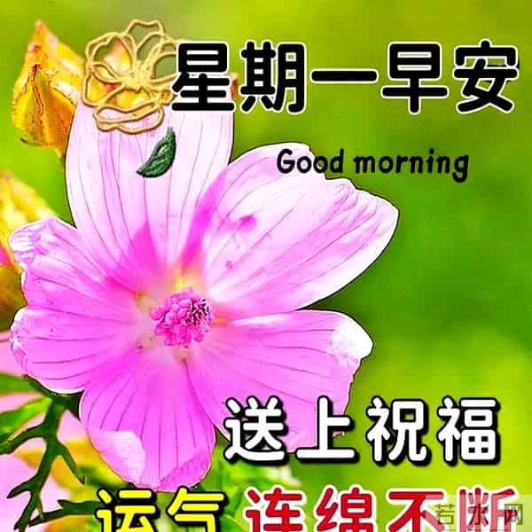 最新早上好问候语简短精华，精辟早安友谊祝福，愿你高兴高兴天天