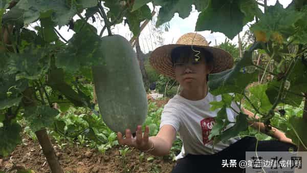 营地亲子活动的意义和价值