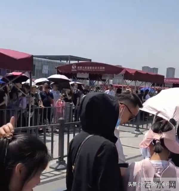 五一过半，趣事一箩筐，不仅人堵了骆驼也堵了……