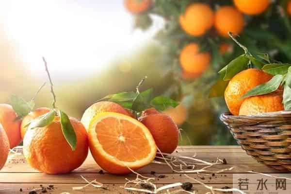 夜读丨舌尖上的方志