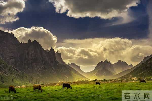 关于国庆节的小学生作文范文20篇