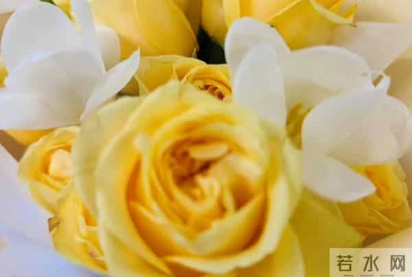 直系通用祭文范例