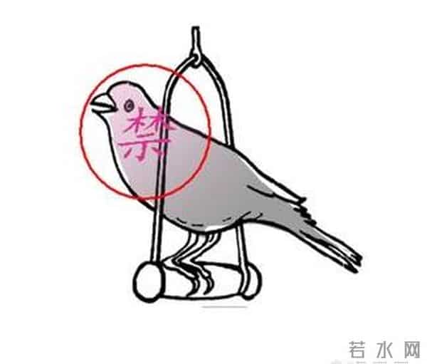 H7N9预防措施