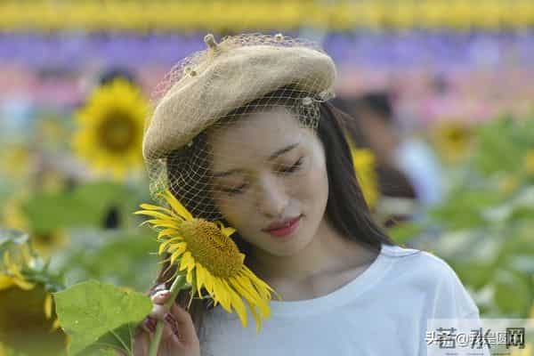 花千姿——花海国庆见闻（原创摄影+随笔300字）