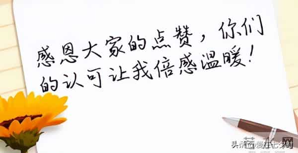 存储数据半导体——“闪存(Flash Memory)”的详解;