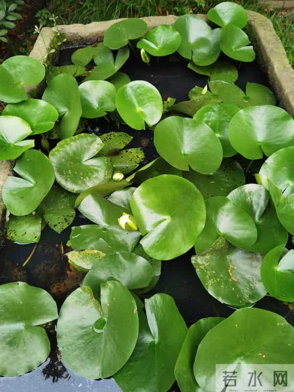 一道美丽的风景线