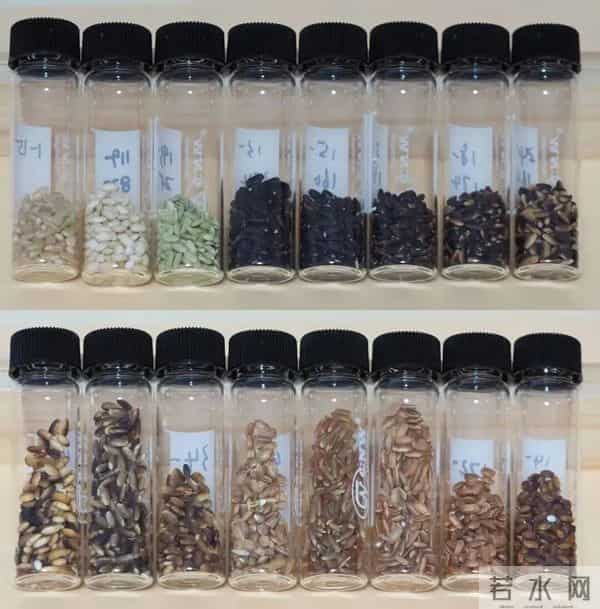 小雪知“食”节!这桌家常饭菜,恰是秋冬好滋味