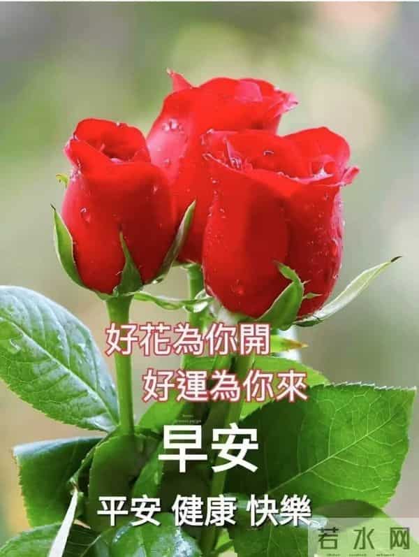 每日100句吉祥祝福语,最美的问候语大全,祝福朋友们快乐吉祥