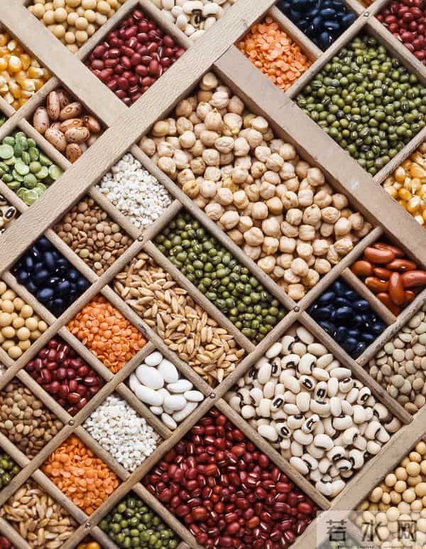 食养有道:日常饮食中的养生智慧