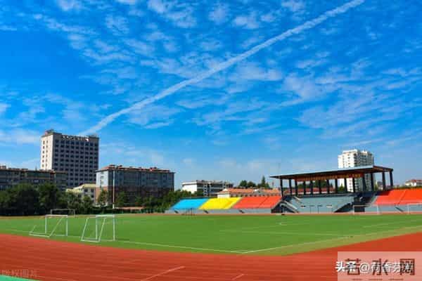 校园的一角作文300字：三年级《校园的一角》作文