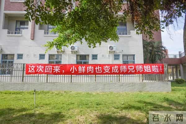 刷屏了！开学季最暖高校横幅来袭，学生：戳中我的小心脏