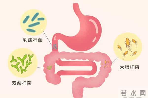 喝柠檬水，6大好处找上你，医生：3类人不要喝，会伤身