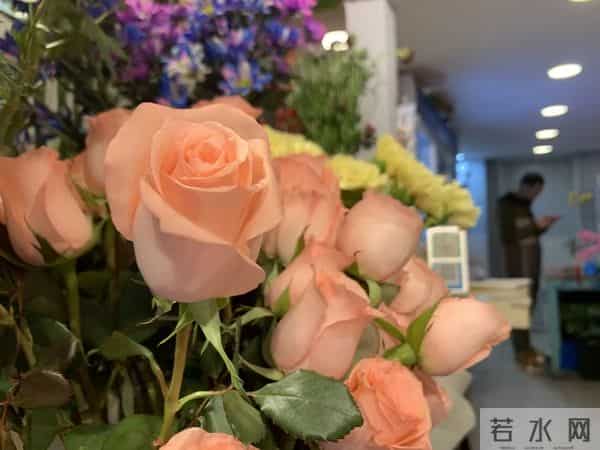 “女神节”你送花了吗？鲜花中的“顶流”就是它