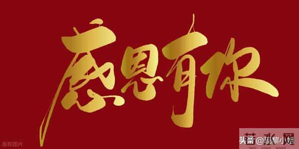 走心的感恩节祝福语文案