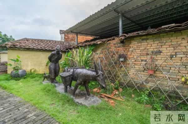 广州470多岁“荔枝皇”，“身价”不凡