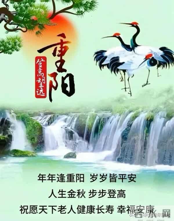 九九重阳，15句祝福愿你岁岁安康
