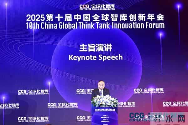 陈健在第十届中国全球智库创新年会的发言