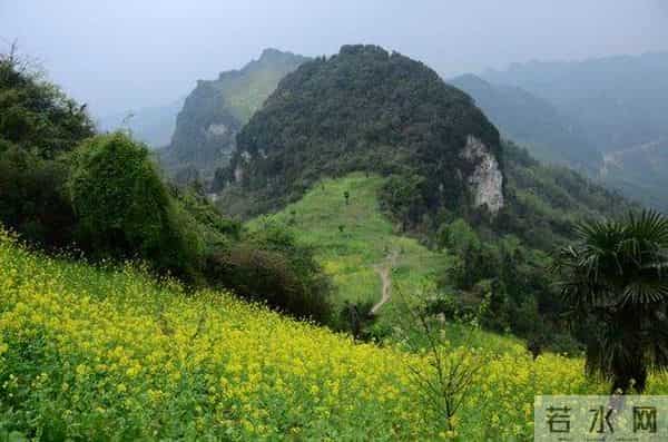 语闻成都 - 川西草木物候记④