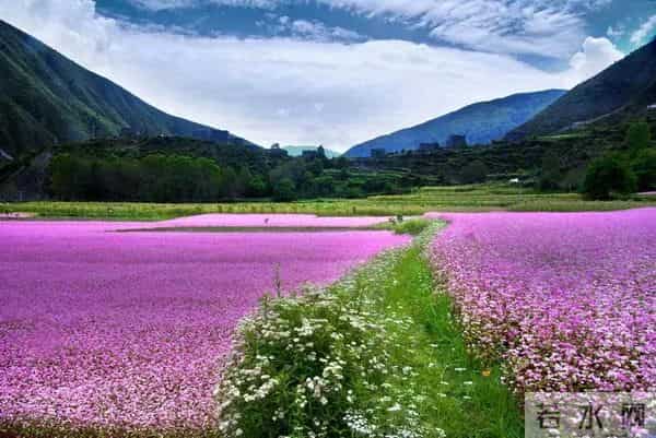 70年来,有没有一首歌,让中国人听了就热泪盈眶?