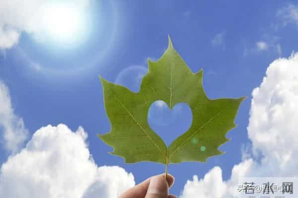 爱在心中,温暖在行动:真实感人的情感故事集锦