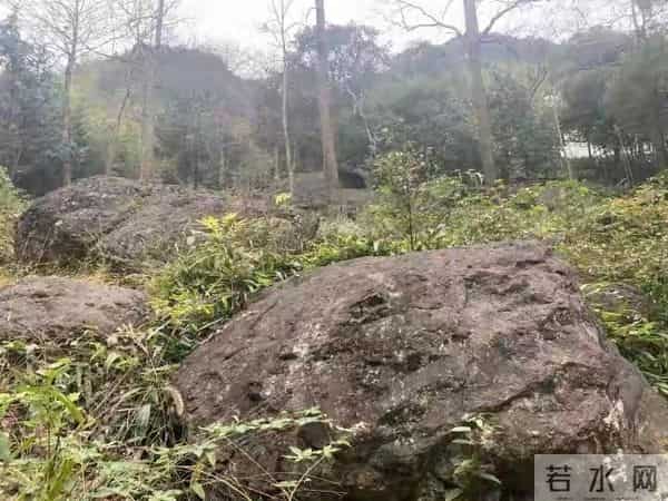 谁能想到，家门口的石头，竟是地球写给时间的情书。