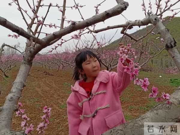 三年级日记之2025年国庆节游记和生活记录三则300字