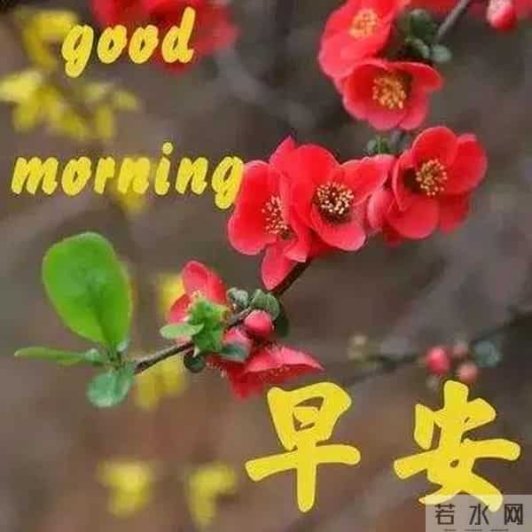 问候情人早安的短信