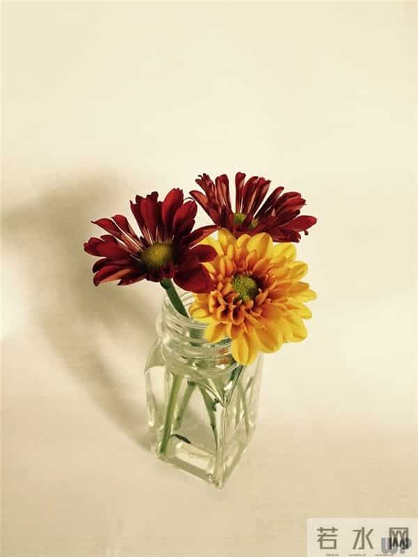 早上好！最经典的为人处世句子，教你看透人心，道尽人生百态