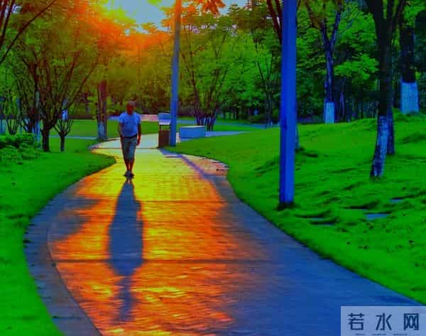 英语美文-15篇短文刷爆朋友圈!外教私藏:语感心境双丰收~