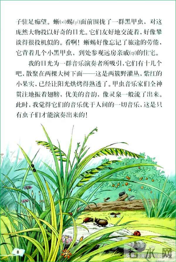 草虫的世界如此奇妙①——阿宝老师的“作文经”(三三四)