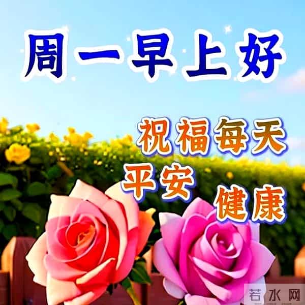 2024最新早上好金句,暖心温馨的早安祝福语精选,愿你幸福吉祥