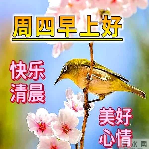 最新高情商早上好祝福语，阳光微笑早安图片，愿你平安幸福每一天