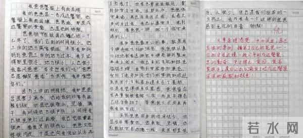这篇小学生作文，评语：优！