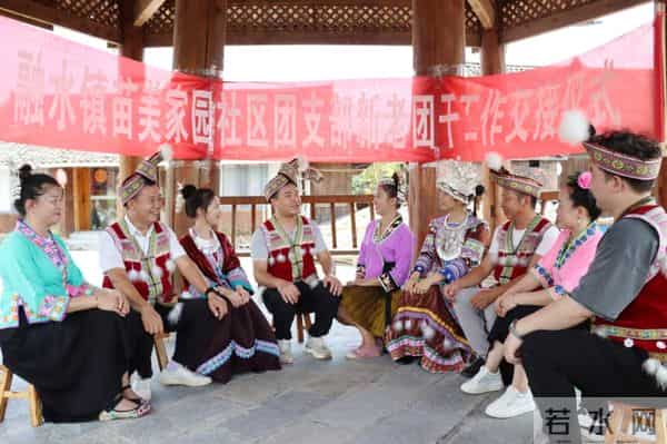 凝聚青春力量 建功苗乡发展——共青团融水苗族自治县委员会2024年度工作综述