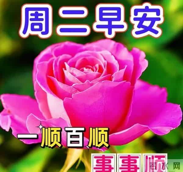 非常暖心的唯美早晨寄语，早上好祝福金句，愿喜乐平安如意